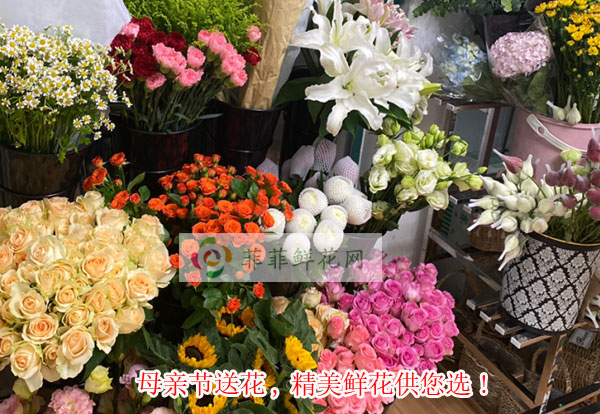2024邯郸大名县母亲节送花,邯郸大名县精美鲜花供您选!
